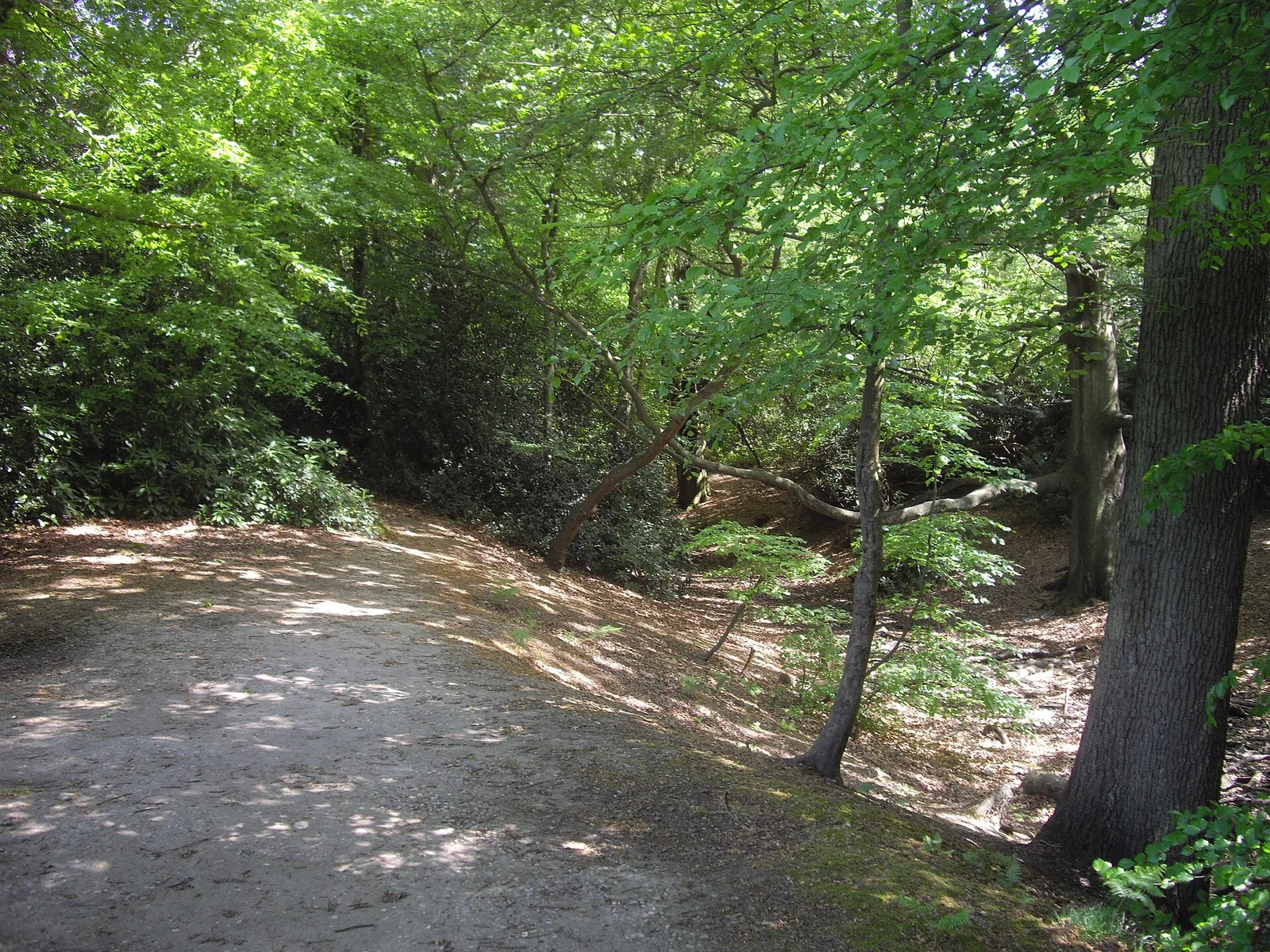 Grim's Ditch, Harrow